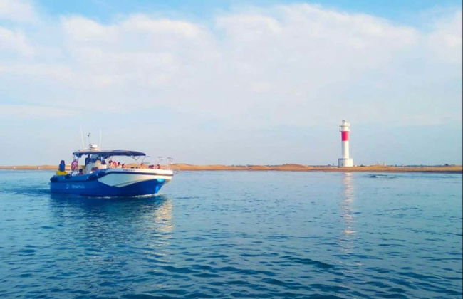 Paseo en barco con degustación de ostras y mejillones - Foto 3