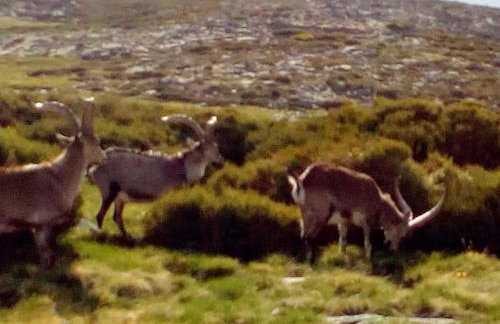 Casa Johana - Foto 26