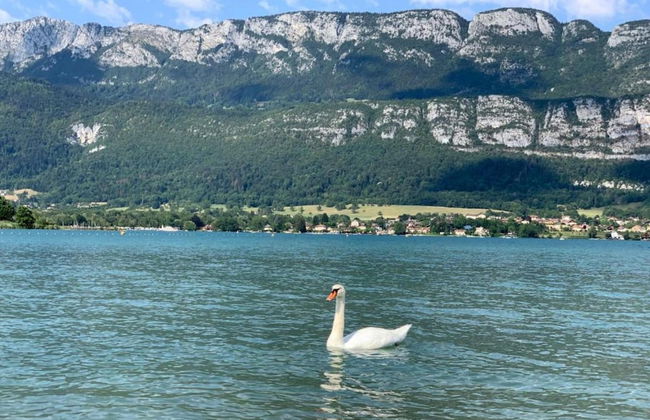 Alpine Getaway With Pool - Photo 38