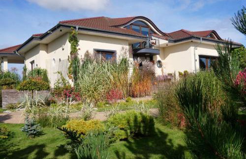 Villa Pro Musica - opcja śniadania - Foto 18