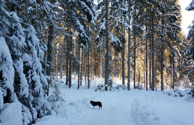 Waldhaus Sonnenberg Apartment 1 - Foto 12