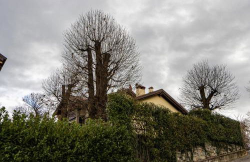 Marie Therese Apartment - Foto 9