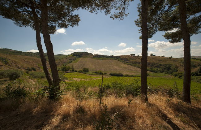 Feudo del Biviere - Foto 13