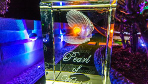 Villa Pearl of Adriatic - Foto 3, Garden, Garden view