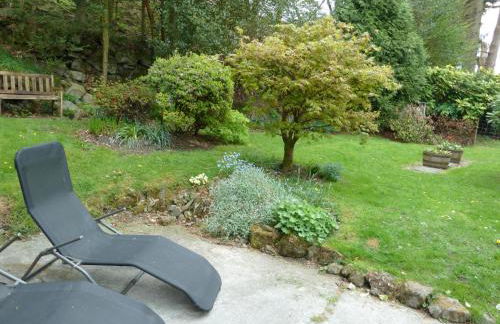 Bronfelin & Troed-y-rhiw Holiday Cottages - Foto 34