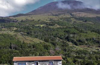 Melo's Place - Photo 38