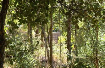 Casalinho in Portugal - Country House - Foto 8