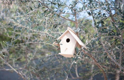 Can Ferrer - Foto 32