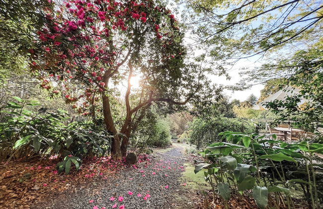 Woolrich Cottage at Woolrich Estate - Foto 16