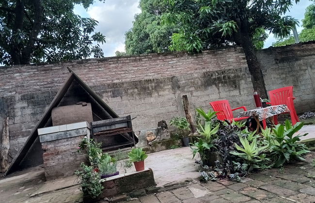 Entre Mangos y Tucanes - Foto 11