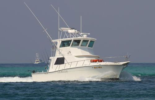 Enclave 403a by Gulf Tide Vacation Rentals - Foto 34