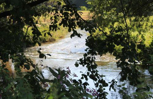 Ferienwohnung am Gilsbach - Foto 25
