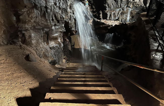 Ynys Arms - Photo 12