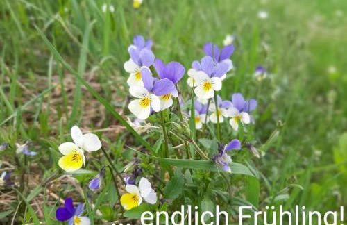 Fewo an der Teufelskanzel - Foto 2