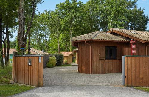 Salamandre et Hippocampe - Foto 27