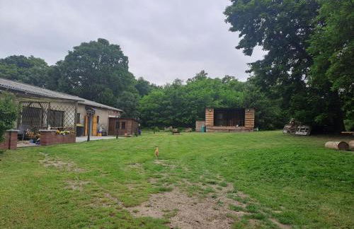 Ingos Landhaus - Photo 24