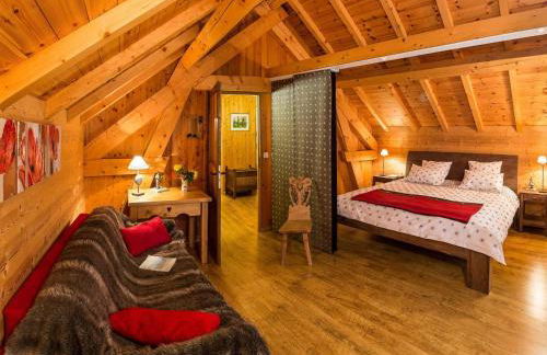 Chalet cosy 6 pers avec SPA, terrasse sud, proche station ski, animaux admis - FR-1-393-16 - Foto 2