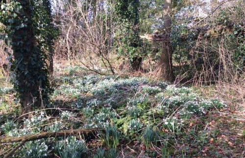 Marshwood Farm B&B and Shepherds Hut - Foto 6