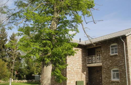 Ferienresidenz Fürst von Büttelkow - Foto 38