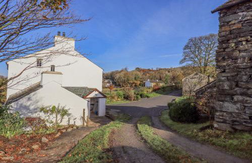 Green Yew - Photo 54