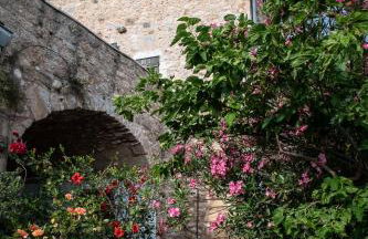 PositiveSpace Olive Tree - Foto 7