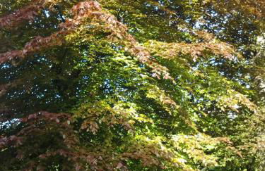 Casa Vacanze Le Violette - Foto 26