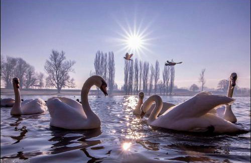 Holiday Home Ille - Foto 57