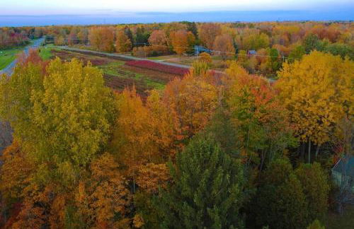 Spacious Pickleball Pines - Foto 30