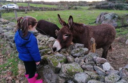 La Casa de Abajo - Photo 33