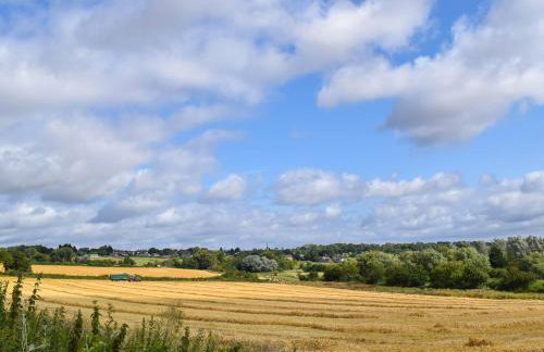 Hollyhocks - Uk47975 - Foto 25