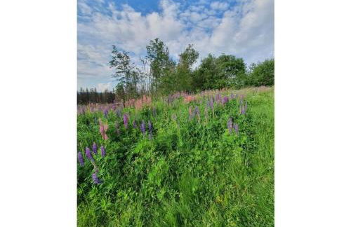 Terraced house Amann Comfortable holiday residence - Foto 29