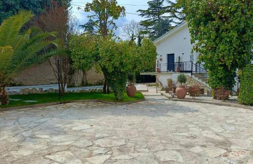Casa delle Foglie - Foto 21