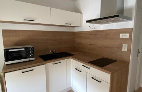 Charming appartement with roof terrace in Vittel - Foto 8