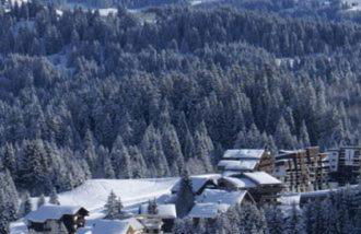 studio cabine Praz de Lys - Foto 18