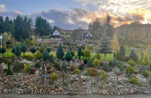 Tajemnicza Kraina - Foto 22