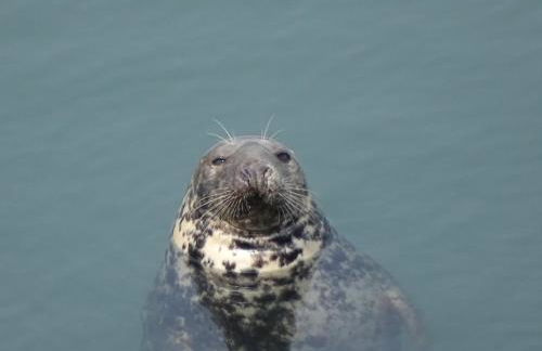 Long Linhay Mortehoe Woolacombe - Foto 23