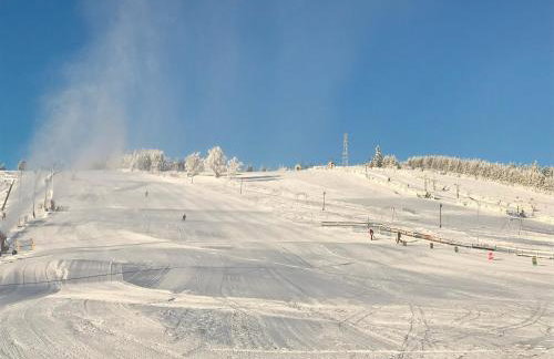 Brzozowa Osada - Foto 62