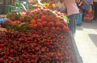 ARIS Urban Gazi - Foto 21