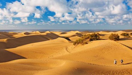 FABULOUS BUNGALOW , WIFI, SWIMMING POOL AND BEACH - Foto 1