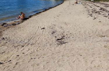 Ti Louker - Appartement à 300m du Port - Photo 29