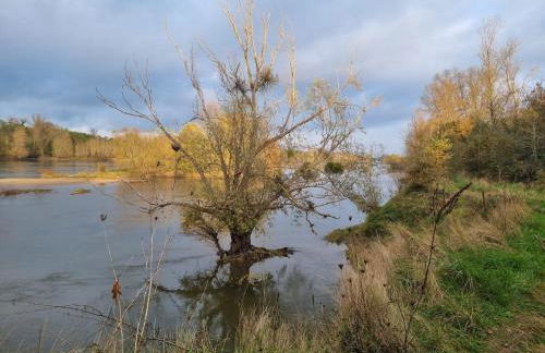 Troglo en bord de Loire, entre vignes et châteaux - Foto 15