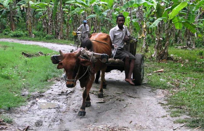 Zanzibar Pure Passion - Photo 1