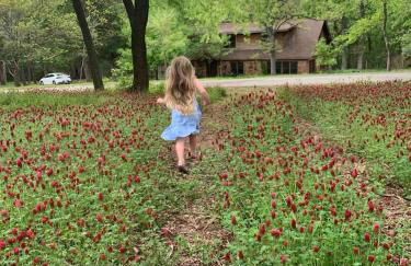 Cozy Cabin on Route 66 with Hot Tub- Edmond, OK - Foto 22