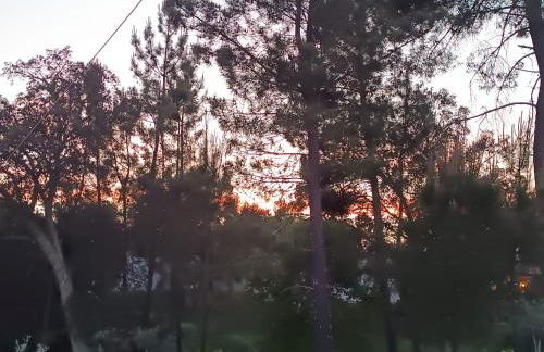 Casa Virginia - Foto 50