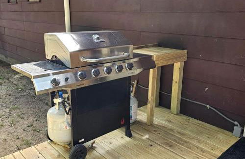 Beautiful Cottage Nestled Amidst Trees in Wellston, Michigan - Foto 18