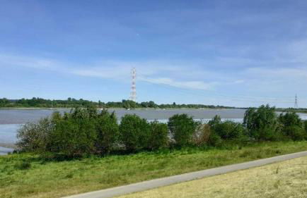 Ferienwohnung Blütenblick - Photo 4