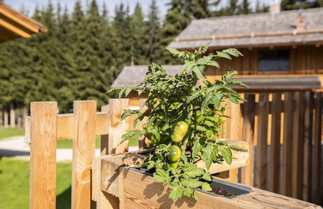 Lerchpeuntgut - Foto 66