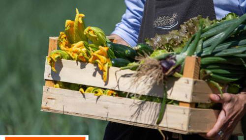 La Cerreta - Terme di Sassetta - Foto 5