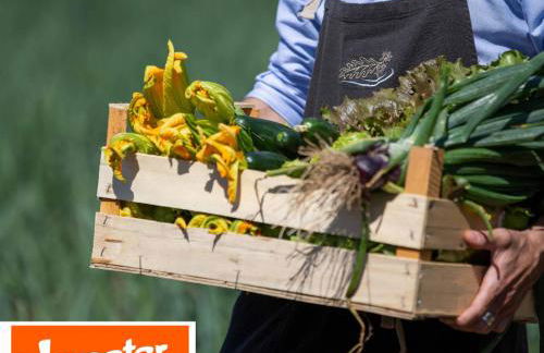 La Cerreta - Terme di Sassetta - Foto 5