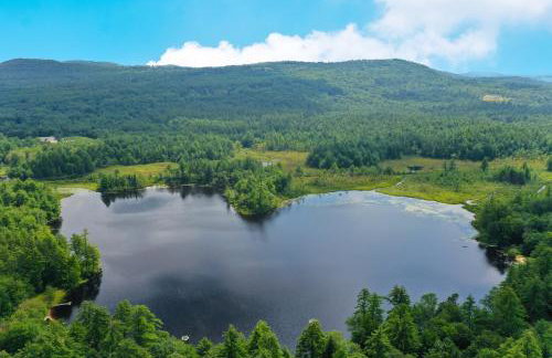 Cozy in the Woods - Foto 33